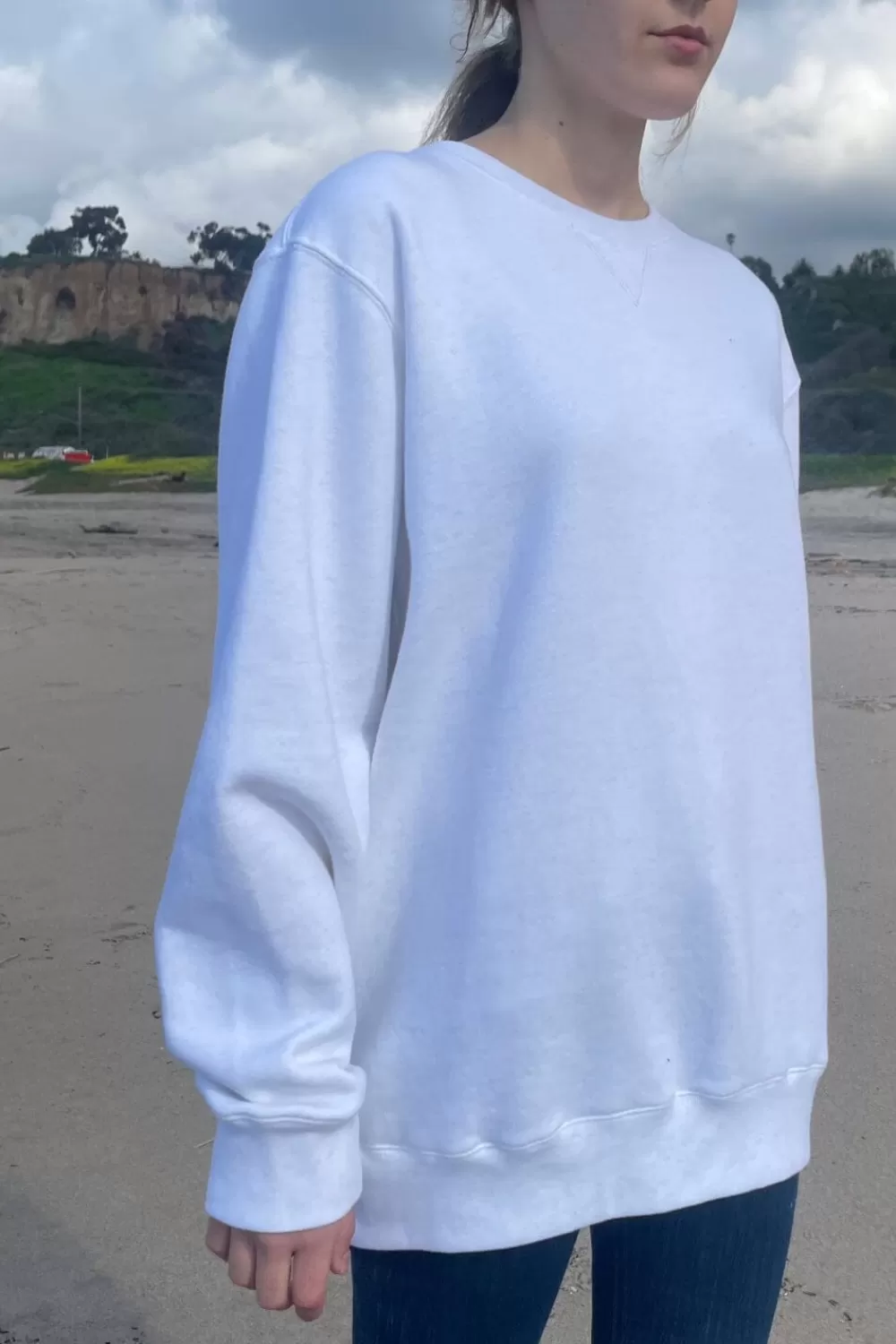 Brandy Melville Erica Oversized Sweatshirt